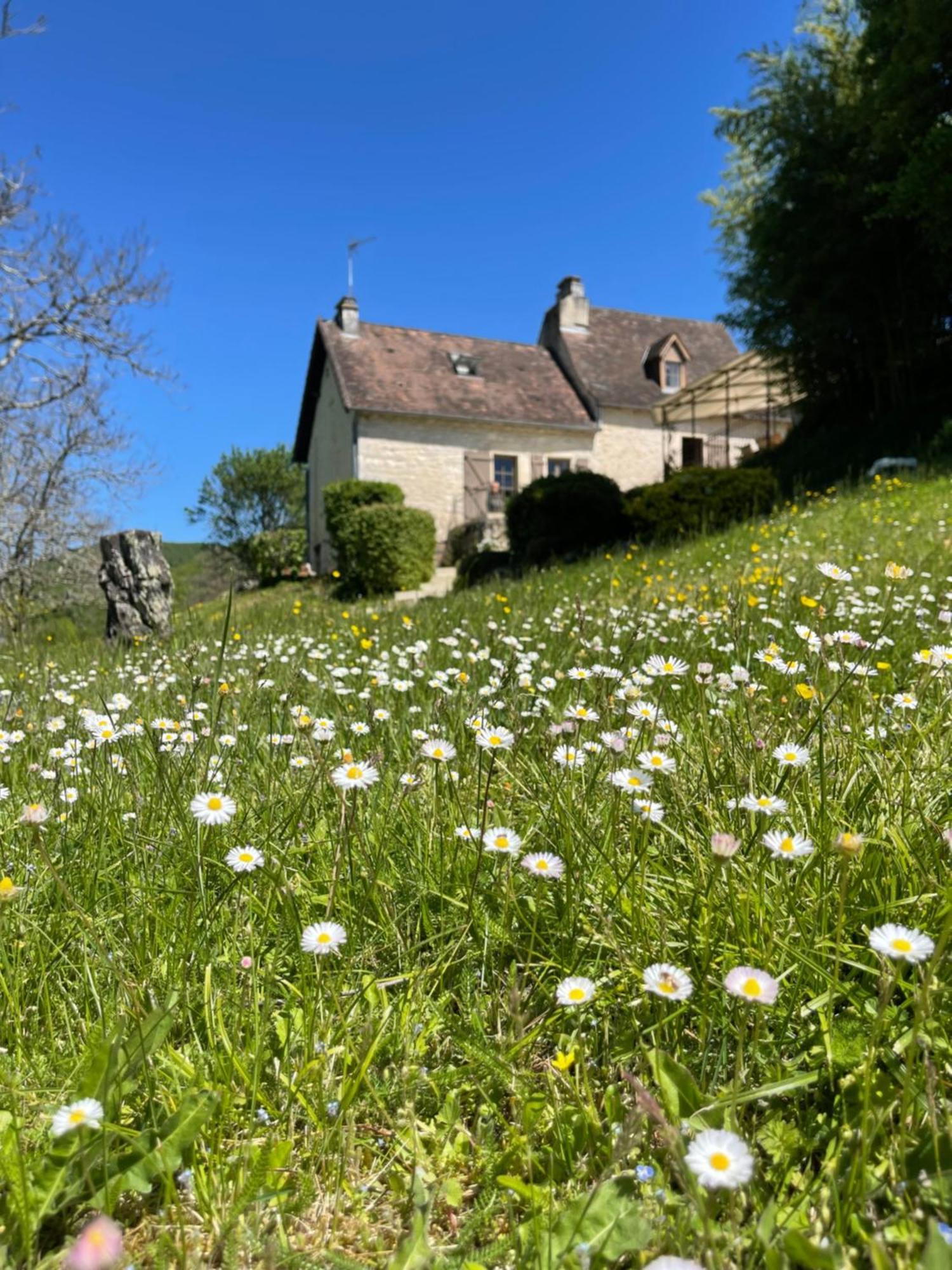 Villa Domaine Du Bonheur En Pierre Avec Piscine, Proche Sarlat Carlux Exterior foto
